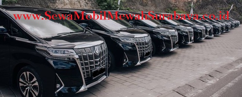 sewa alphard surabaya, sewa mobil alphard surabaya